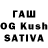 Псилоцибиновые грибы GOLDEN TEACHER Muhammad Salau