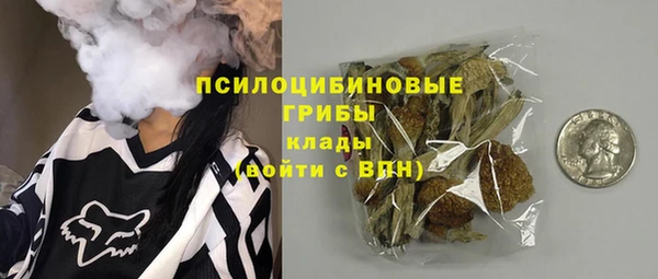 твердый Арсеньев