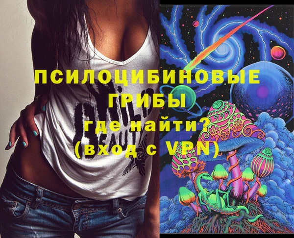 твердый Арсеньев