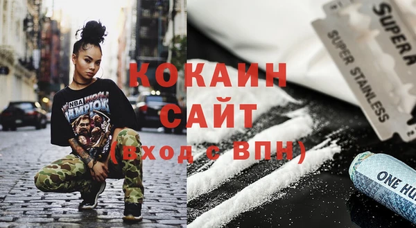 твердый Арсеньев