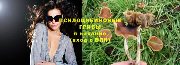 PSILOCYBIN Армянск